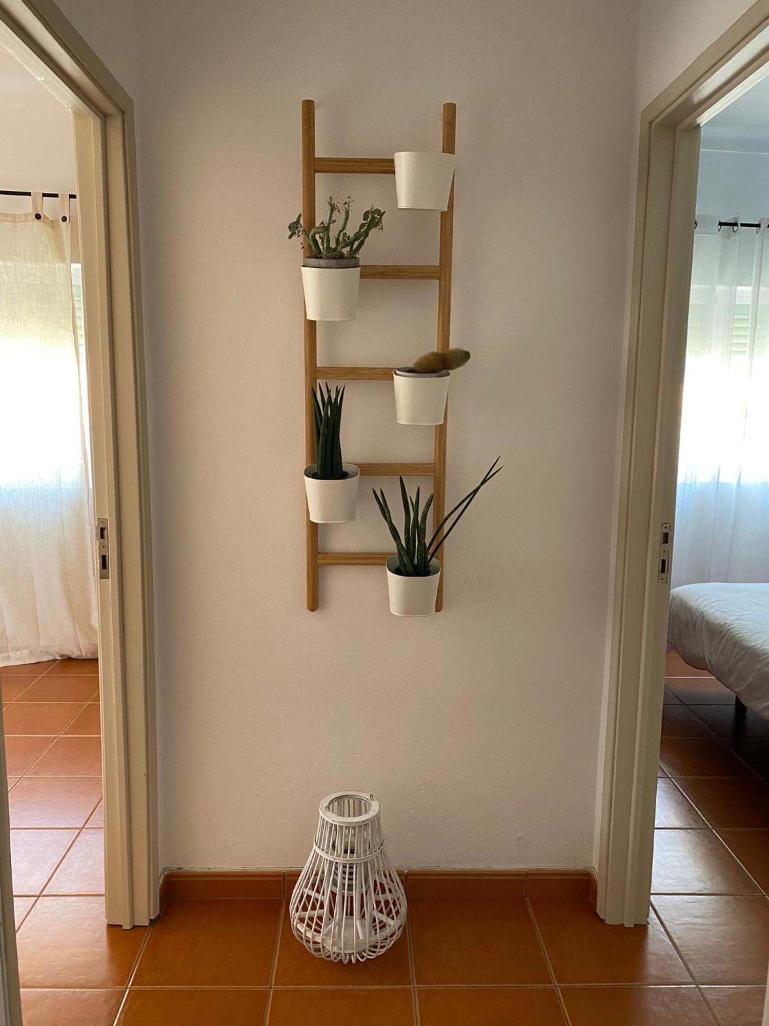 Apartamento Vicentino Vila Nova de Milfontes Exterior photo